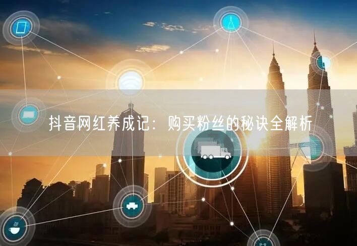 抖音网红养成记：购买粉丝的秘诀全解析