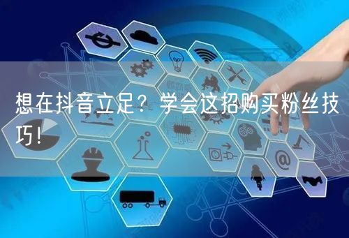 想在抖音立足？学会这招购买粉丝技巧！