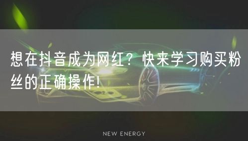 想在抖音成为网红？快来学习购买粉丝的正确操作!