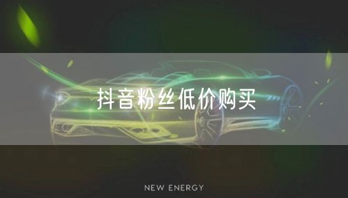 抖音粉丝低价购买