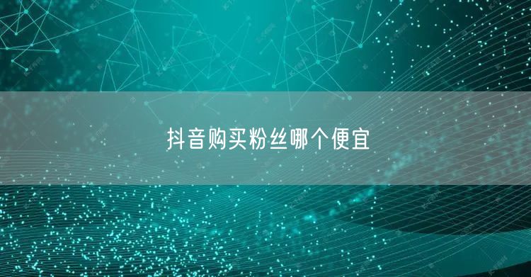 抖音购买粉丝哪个便宜