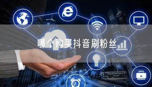 哪个购买抖音刷粉丝