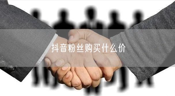 抖音粉丝购买什么价