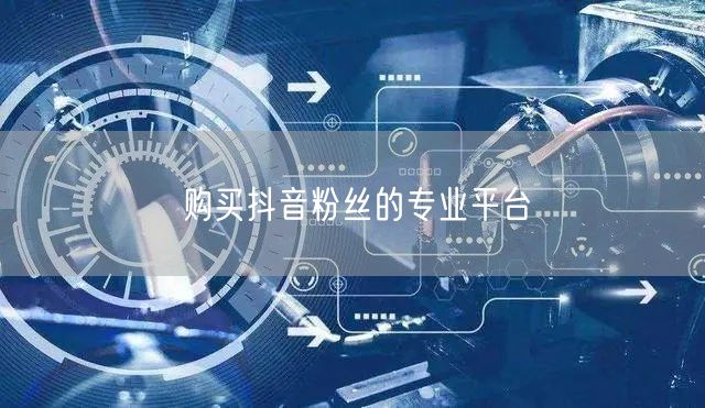 购买抖音粉丝的专业平台