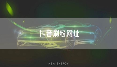 抖音刷粉网址