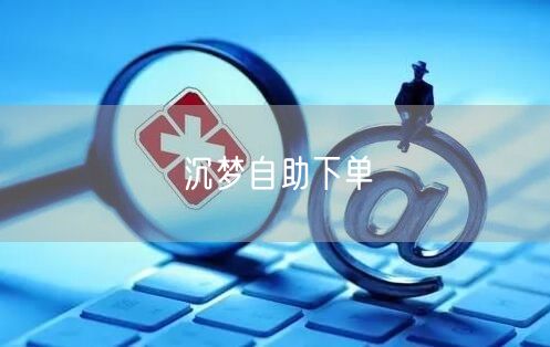 沉梦自助下单