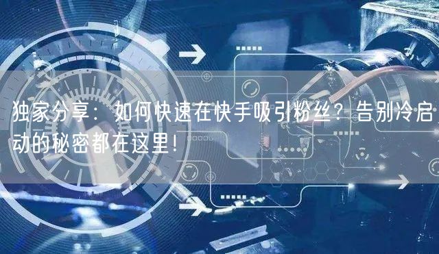 独家分享：如何快速在快手吸引粉丝？告别冷启动的秘密都在这里！