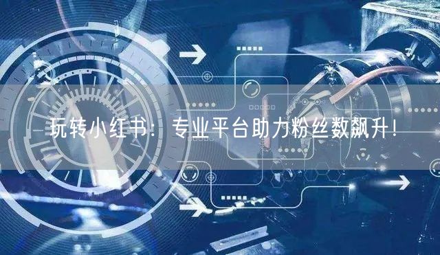 玩转小红书：专业平台助力粉丝数飙升！