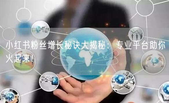 小红书粉丝增长秘诀大揭秘：专业平台助你火起来！
