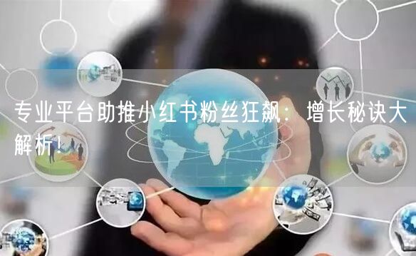 专业平台助推小红书粉丝狂飙：增长秘诀大解析！