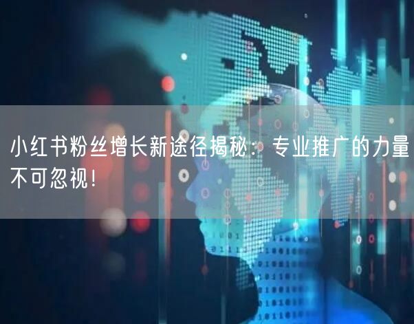 小红书粉丝增长新途径揭秘：专业推广的力量不可忽视！