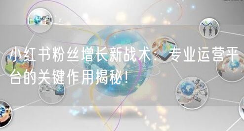 小红书粉丝增长新战术：专业运营平台的关键作用揭秘！