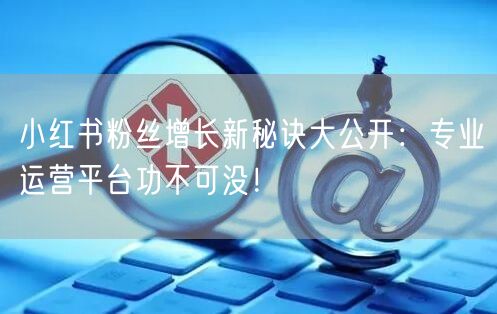 小红书粉丝增长新秘诀大公开：专业运营平台功不可没！