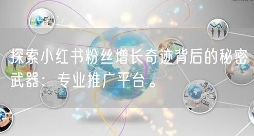 探索小红书粉丝增长奇迹背后的秘密武器：专业推广平台。