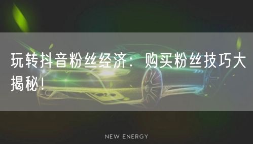 玩转抖音粉丝经济：购买粉丝技巧大揭秘！