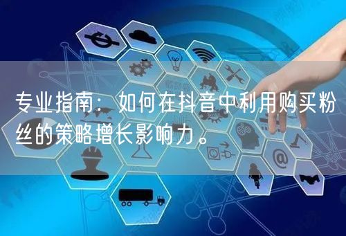 专业指南：如何在抖音中利用购买粉丝的策略增长影响力。