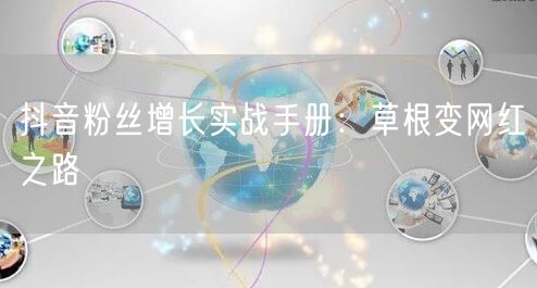 抖音粉丝增长实战手册：草根变网红之路