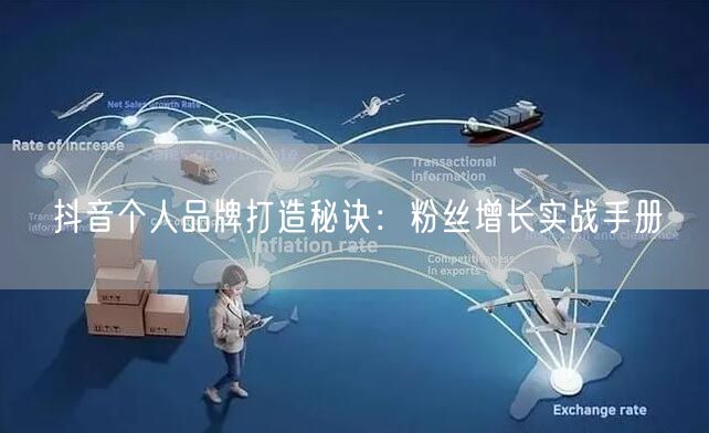 抖音个人品牌打造秘诀：粉丝增长实战手册