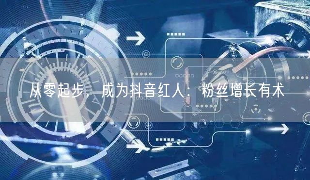 从零起步，成为抖音红人：粉丝增长有术