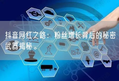 抖音网红之路：粉丝增长背后的秘密武器揭秘。