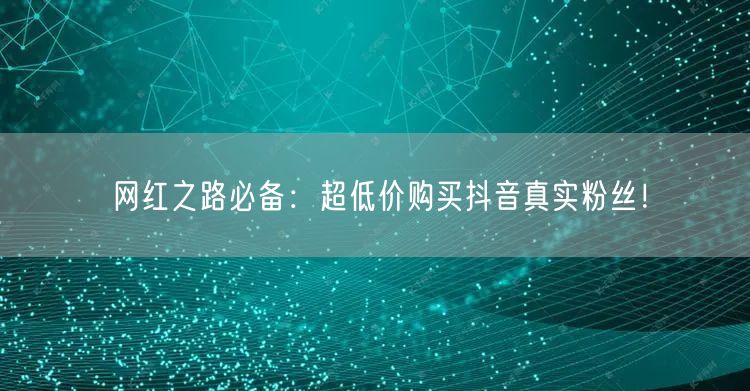 网红之路必备：超低价购买抖音真实粉丝！