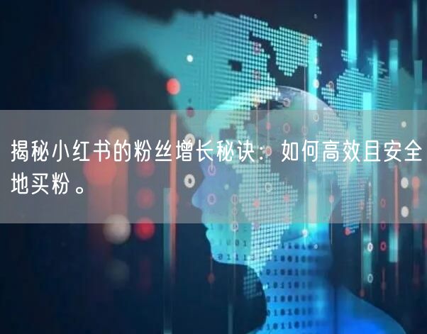 揭秘小红书的粉丝增长秘诀：如何高效且安全地买粉。