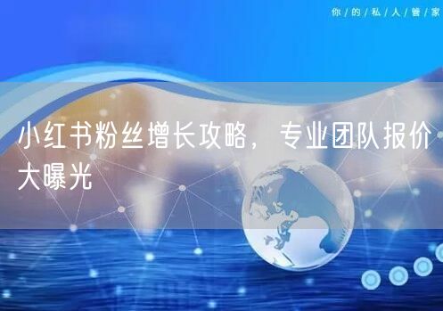 小红书粉丝增长攻略，专业团队报价大曝光
