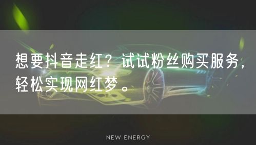 想要抖音走红？试试粉丝购买服务，轻松实现网红梦。