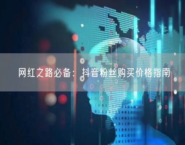 网红之路必备：抖音粉丝购买价格指南