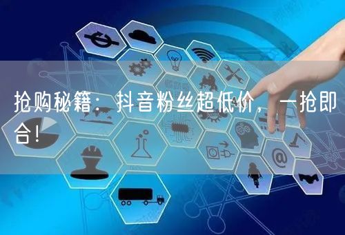 抢购秘籍：抖音粉丝超低价，一抢即合！