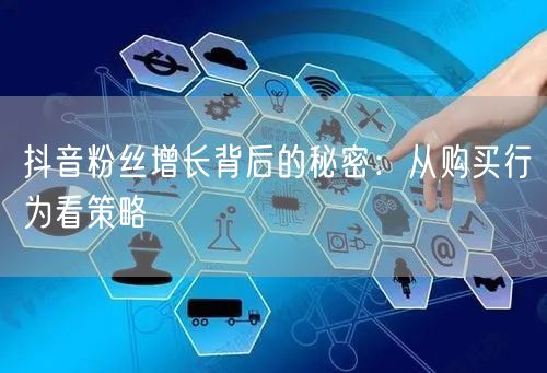 抖音粉丝增长背后的秘密：从购买行为看策略