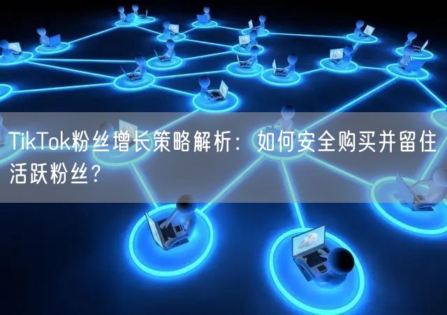 TikTok粉丝增长策略解析：如何安全购买并留住活跃粉丝？