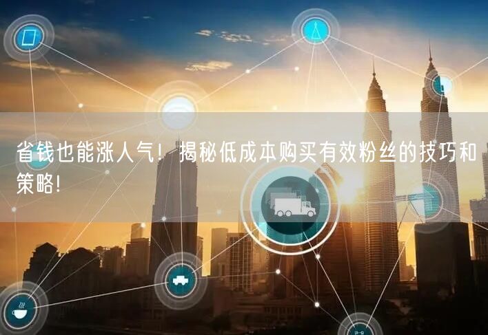 省钱也能涨人气！揭秘低成本购买有效粉丝的技巧和策略!