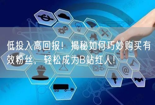 低投入高回报！揭秘如何巧妙购买有效粉丝，轻松成为B站红人!