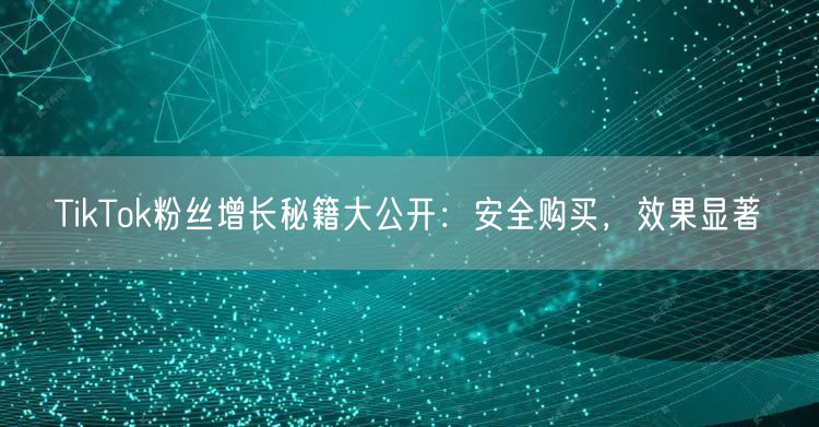 TikTok粉丝增长秘籍大公开：安全购买，效果显著