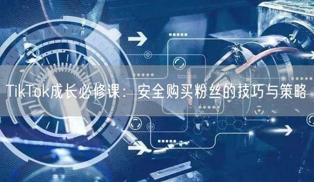 TikTok成长必修课：安全购买粉丝的技巧与策略