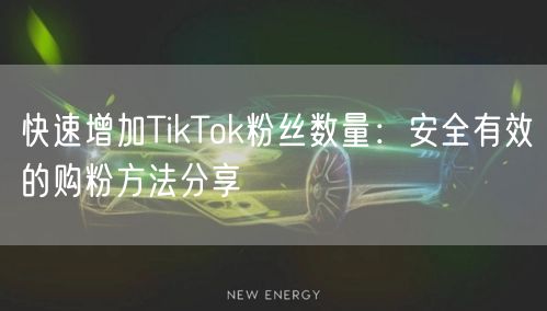 快速增加TikTok粉丝数量：安全有效的购粉方法分享