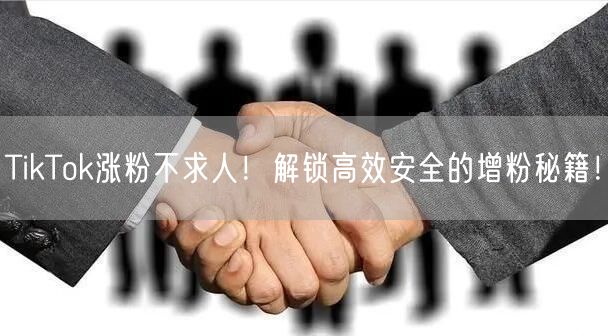 TikTok涨粉不求人！解锁高效安全的增粉秘籍！