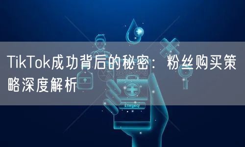 TikTok成功背后的秘密：粉丝购买策略深度解析