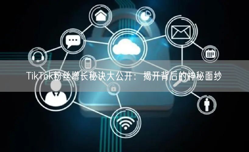 TikTok粉丝增长秘诀大公开：揭开背后的神秘面纱