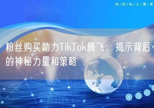 粉丝购买助力TikTok腾飞：揭示背后的神秘力量和策略
