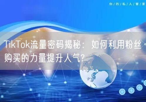 TikTok流量密码揭秘：如何利用粉丝购买的力量提升人气?