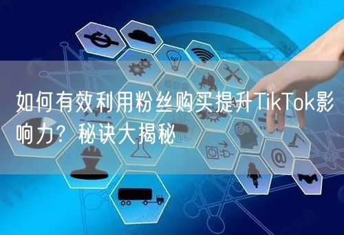 如何有效利用粉丝购买提升TikTok影响力？秘诀大揭秘