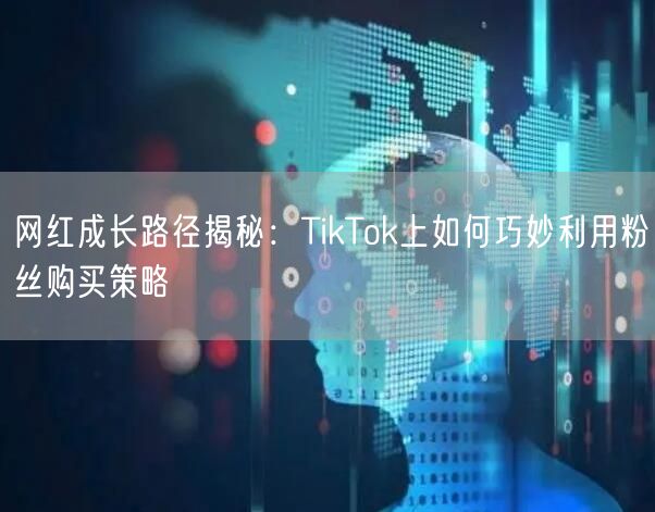 网红成长路径揭秘：TikTok上如何巧妙利用粉丝购买策略