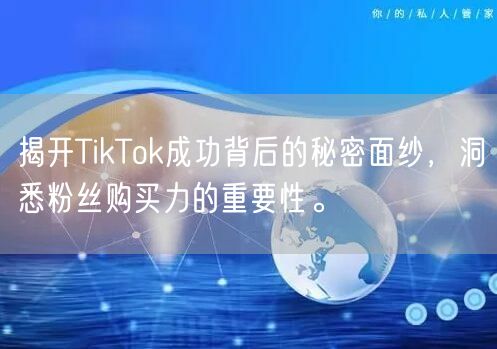 揭开TikTok成功背后的秘密面纱，洞悉粉丝购买力的重要性。