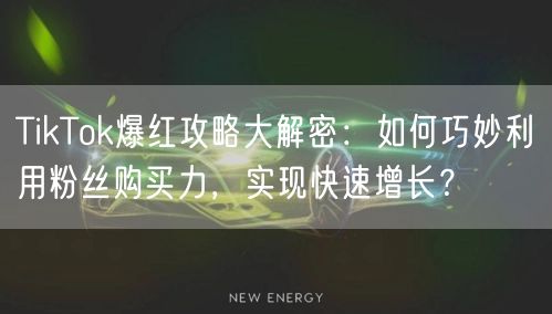 TikTok爆红攻略大解密：如何巧妙利用粉丝购买力，实现快速增长？