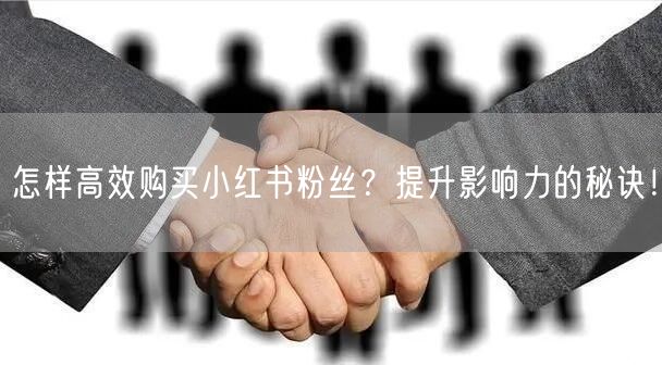 怎样高效购买小红书粉丝？提升影响力的秘诀！