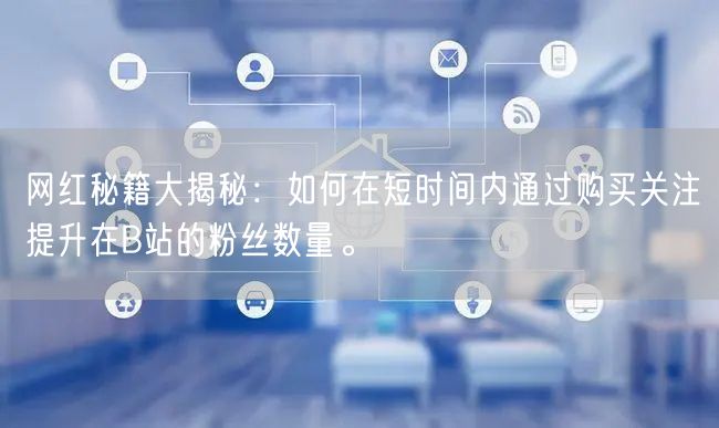 网红秘籍大揭秘：如何在短时间内通过购买关注提升在B站的粉丝数量。