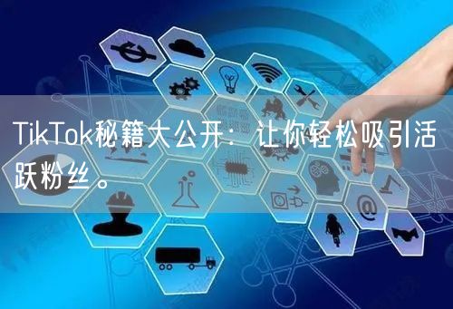 TikTok秘籍大公开：让你轻松吸引活跃粉丝。