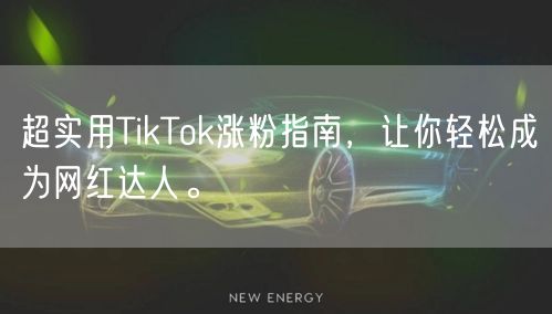 超实用TikTok涨粉指南，让你轻松成为网红达人。